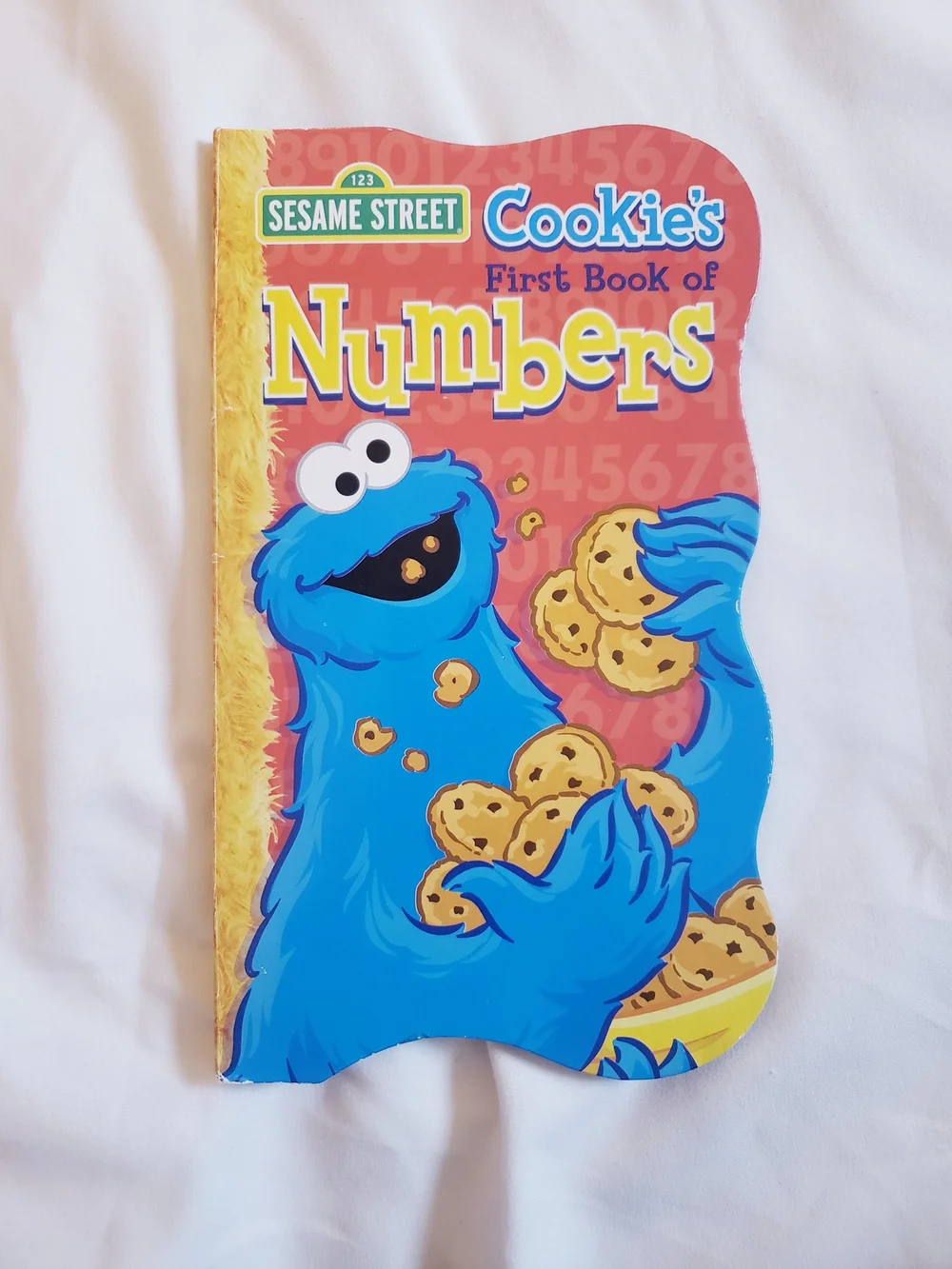Sesame Street Counting Book Bundle